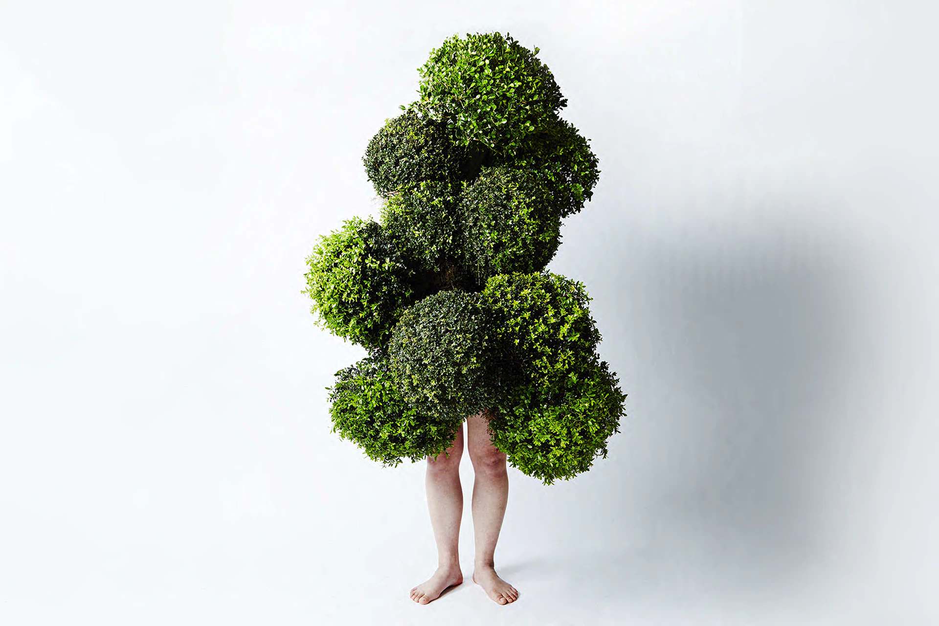 LEAF MAN 2015 | AMKK（東信, 花樹研究所）